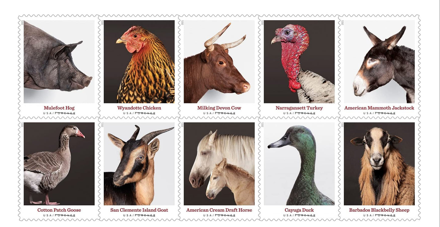 2021 US New Heritage Breeds Forever Postage Stamps