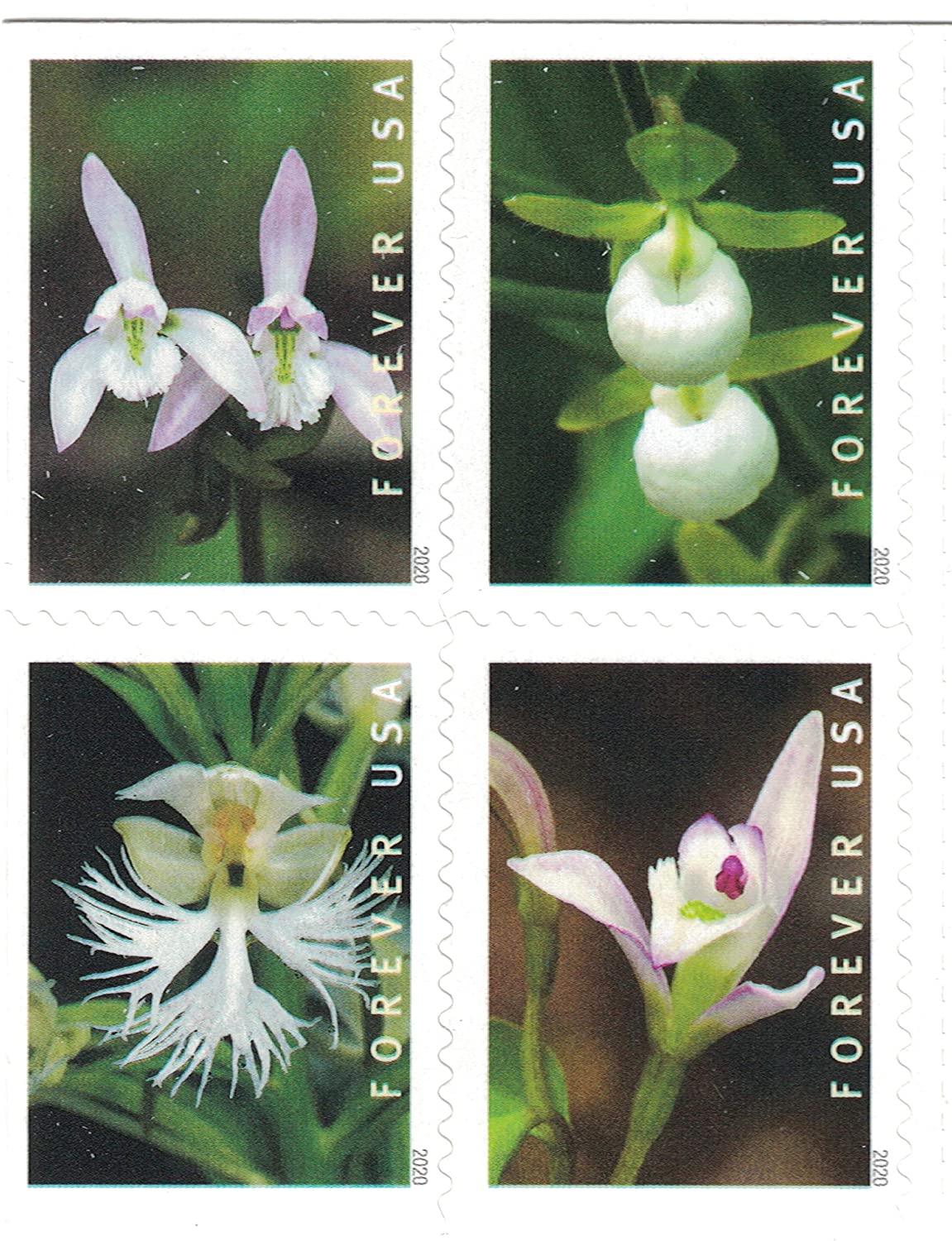 (2020) USPS Wild Orchids Forever Postage Stamps