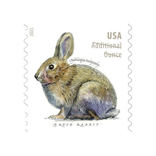 2021 Brush Rabbit Additional Ounce Forever Postage Stamps