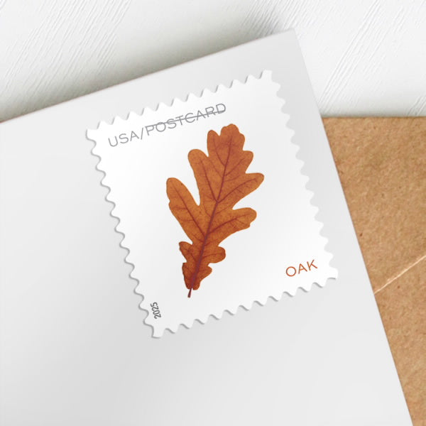 2025 Vibrant Leaves Postcard Stamps Coil of 100