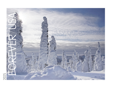 2025 Winter Landscapes forever stamps