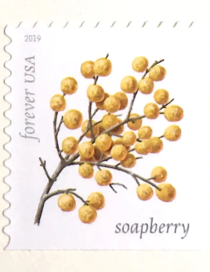 (2019) USPS Winter Berries First Class Forever Postage Stamps