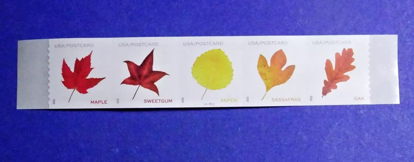 2025 Vibrant Leaves Postcard Stamps Coil of 100