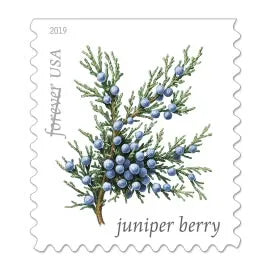 (2019) USPS Winter Berries First Class Forever Postage Stamps