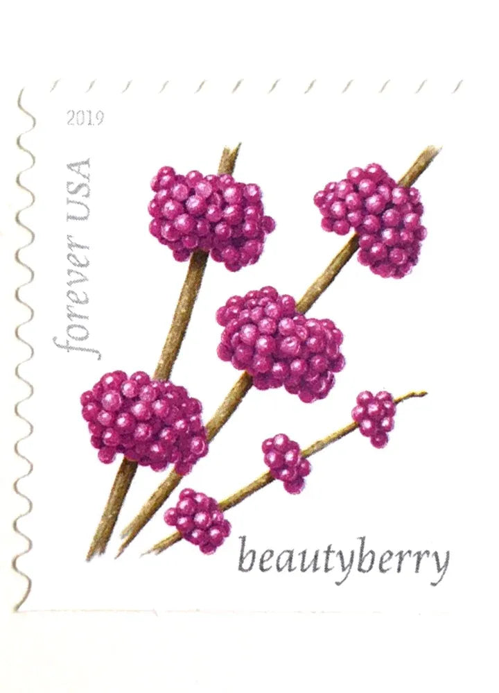 (2019) USPS Winter Berries First Class Forever Postage Stamps