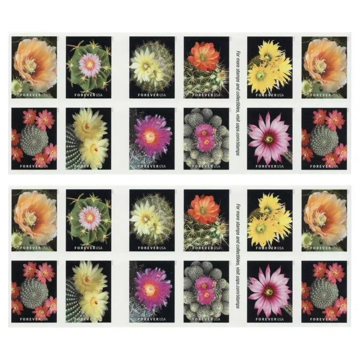 (2019) USPS Cactus Flowers Forever First Class Postage Stamps